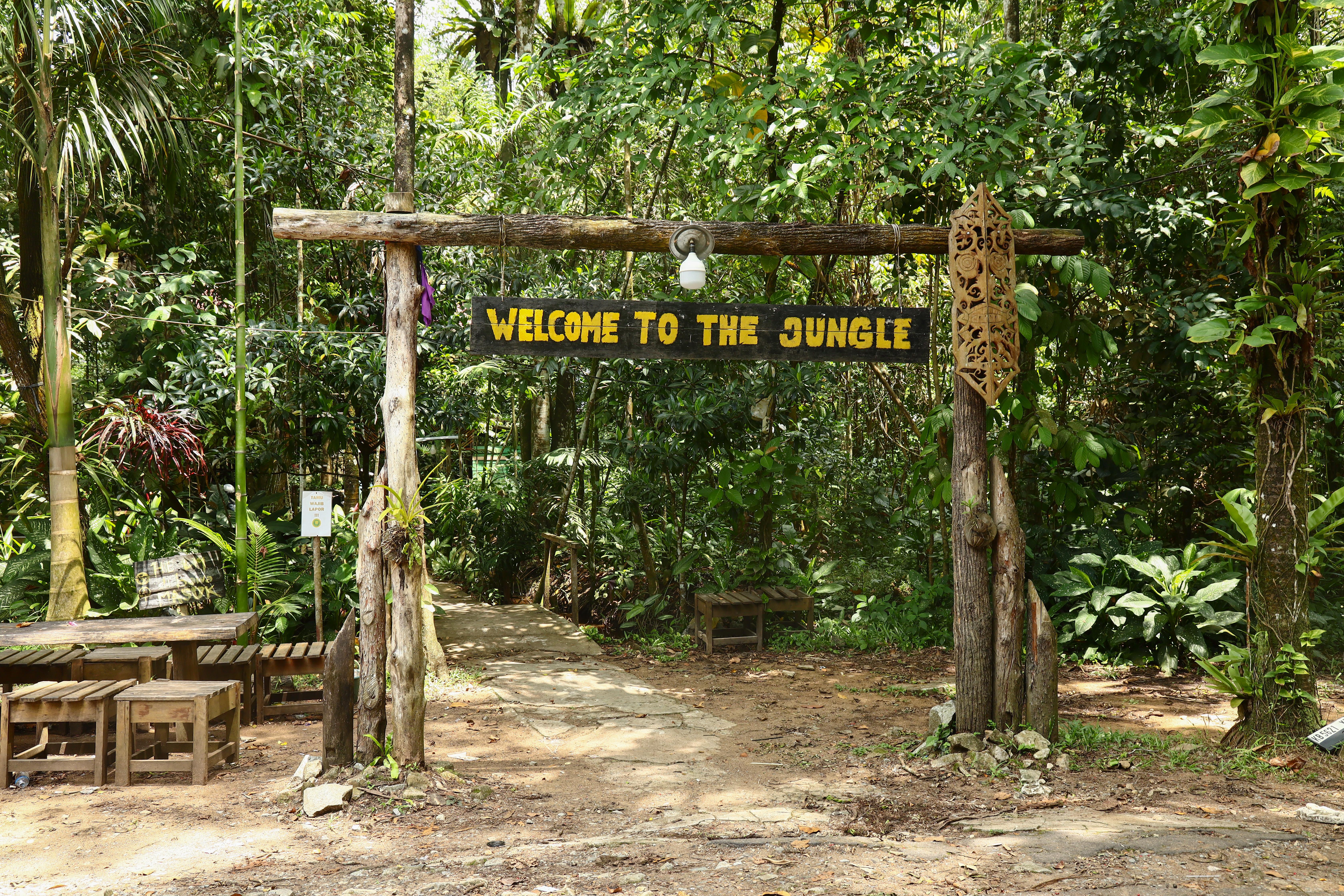 Hutan Arboretum Sylva Universitas Tanjung Pura